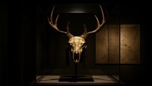 Ancient deer skull headdress reveals stunning secret about Europe’s first farming communities