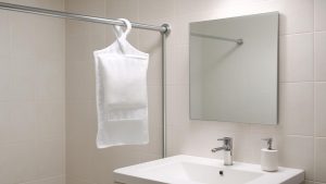 This Simple Bathroom Item Eliminates Moisture Problems When Hung by Your Shower